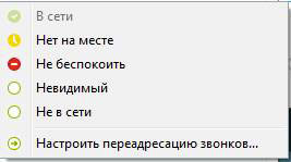 Что означает в скайпе зеленый кружок внутри белый