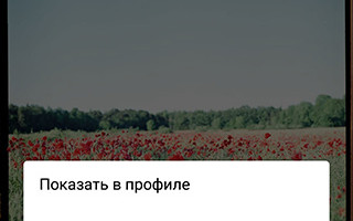 Понравилось в Инстаграм где?